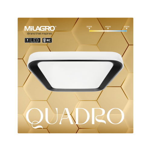 Plafon QUADRO BLACK 38W